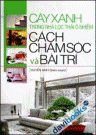 Cây Xanh Trong Nhà Lọc Thải Ô Nhiễm - Cách Chăm Sóc Và Bài Trí