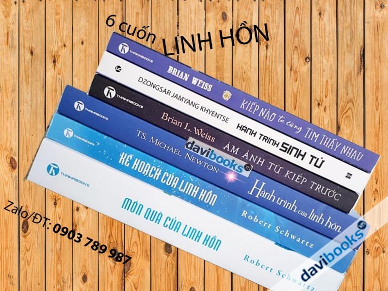Thế Giới Linh Hồn: Hành Trình Của Linh Hồn + Món Quà Của Linh Hồn + Kế Hoạch Của Linh Hồn + Ám Ảnh Từ Kiếp Trước + Hành Trình Sinh Tử + Kiếp Nào Ta Cũng Tìm Thấy Nhau (Bộ 6 Quyển)