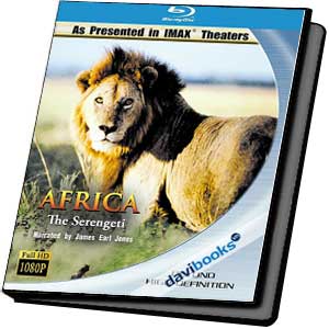 Africa The Serengeti Vùng Đồng Cỏ Serengeti Châu Phi