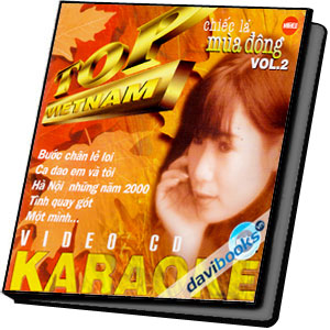 Chiếc Lá Mùa Đông (Vol. 2) - Karaoke