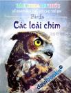 Bách Khoa Tri Thức Về Khám Phá Thế Giới Cho Trẻ Em Birds Các Loài Chim