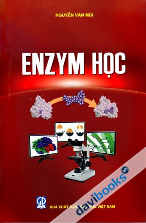 Enzym Học